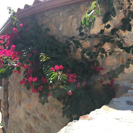 Country house Casas No Terreiro Penacova